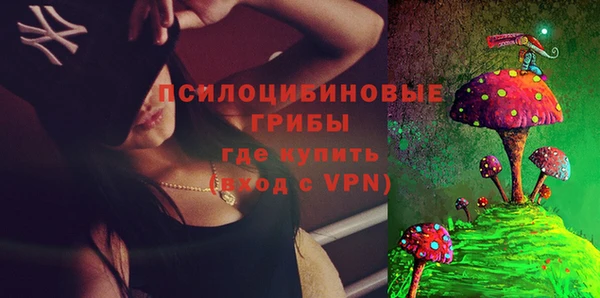 хмурый Верхний Тагил